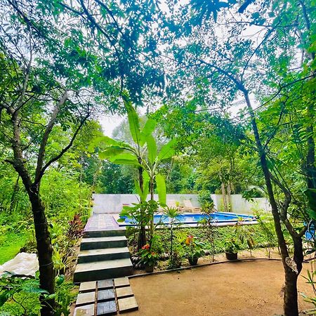 Gangadiya Lodge Sigiriya Ngoại thất bức ảnh