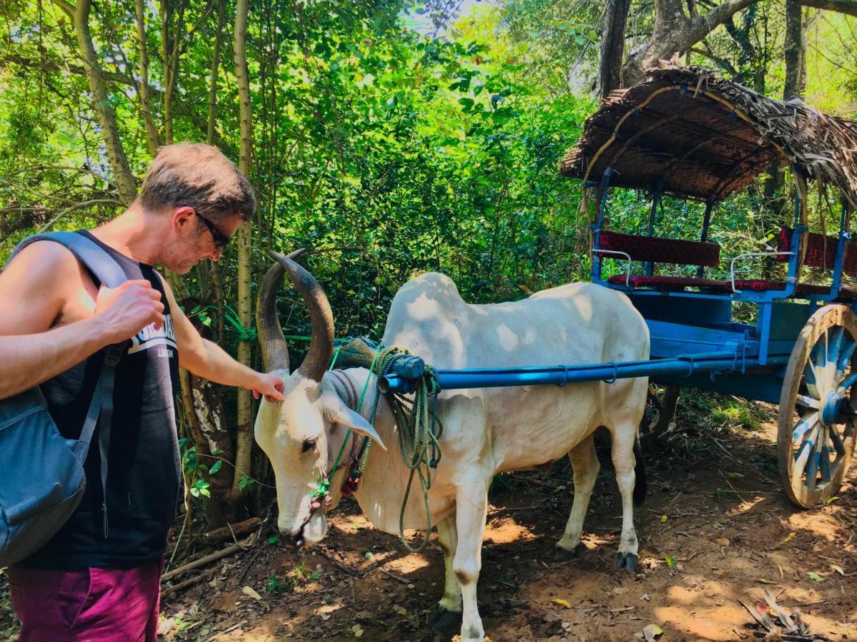 Gangadiya Lodge Sigiriya Ngoại thất bức ảnh