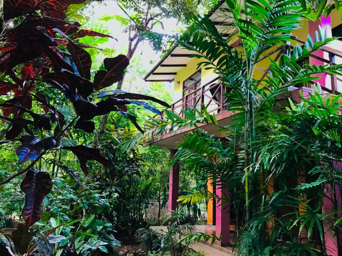 Gangadiya Lodge Sigiriya Ngoại thất bức ảnh