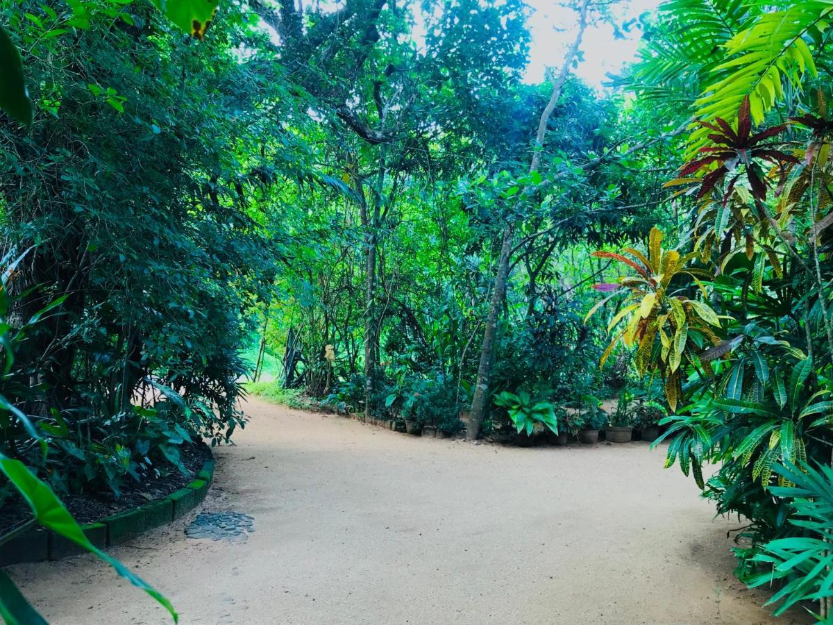 Gangadiya Lodge Sigiriya Ngoại thất bức ảnh